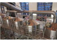 What’s the Difference Between Dry Beer and Draft Beer?