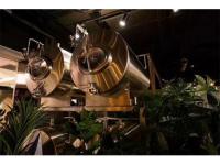 Why the Mash is too Thick During Mashing?