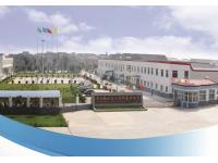 Urology Care, Procedure Trays and Kits, Dry Intermittent Catheters Factory China