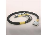 The Wiring Harness is changed and the Fault persists?