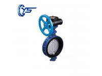LTD3 / 6 / 971X-10 / 16 Lug Wafer Centerline Butterfly Valve   ANSI Wafer Type Butterfly Valve