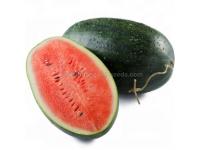 How to Grow Watermelon Well(Part 2)?