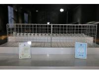  The Development and Function of Gabion Net