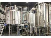 What Makes Craft Beer so Popular in Younger People?