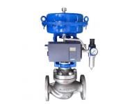 LN81 Series Single Seat Globe Control Valve