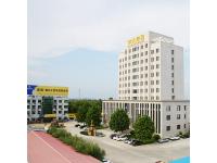 Welcome to Pingle Group