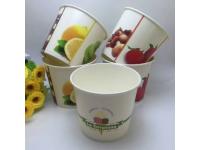 Logo Printed Paper Ice Cream Cup with Paer Lid