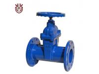 the general requirements for Resilient Seat Gate Valve