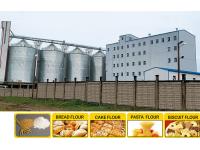 Multi-story Steel Structure Flour Milling Plant