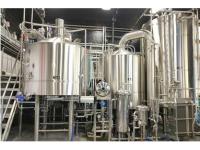 What Makes Craft Beer so Popular in Younger People?