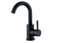 304 stainless steel baking black paint faucet