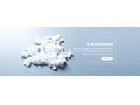 How to Polish Nitrocellulose Paint?