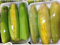 Wholesale Fresh PE Plastic Food Wrap Cling Film