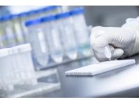 Acetaminophen (ACE) Rapid Tests