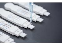 Buprenorphine (BUP) Rapid Tests