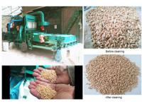 Testing the 10T/H Combined Seed Gravity Cleaning Machine