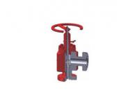 AQE Choke Valve