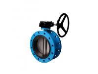Double Flange Butterfly Valve