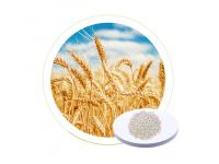 Dr Aid Natural Seaweed Extract Fertilize 13-0-46 green fertilizer npk for beans