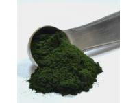 Organic Chlorella Powder 50%