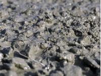 What is the Construction Process of Steel Fiber in Bridge Deck Paving?