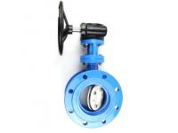 Eccentric Butterfly Valve