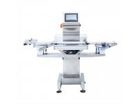 Auto High Precision 200g Check Weigher Machine with Belt Conveyor for Checking Weight