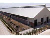 Prefabricated Steel Structure Poultry House Shed