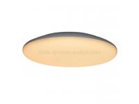 Ceiling Light LEDCL01