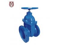 AWWA C509 OS&Y Resilient Seated Gate Valve, DN50-DN450