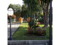 Peiling Online Fencing