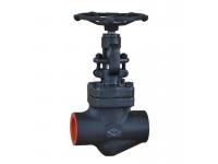 API602 Forged steel Globe valve 800#    china valves manufacturers    globe valve definition   china valves
