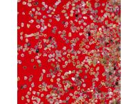 Metal Bond Mesh Diamond    Metal Mesh Diamond     M19 Metal Mesh Diamond Manufacturers