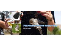 welocme to Yingtaier