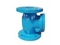 BS5153 Cast Iron Swing Check Valve    Cast Iron Check Valve Supplier    China Cast Iron Check Valve