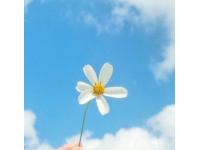 What is the prospect of cross-border e-commerce?