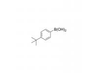 tert-Butylphenylboronic acid CAS 123324-71-0 4-(tert-Butyl)phenylboronic acid  p-tert-Butylphenylboronic acid