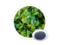 What is NPK Fertilizer?