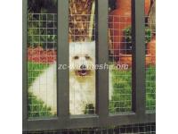 Stainless Steel Weld Mesh