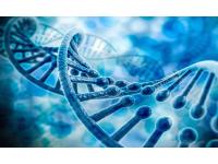 Different treatment cycles for different ichthyosis types