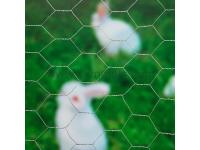 Electro Galvanized Hexagonal Wire Netting    chicken wire dog fence    hexagonal wire mesh manufacturers