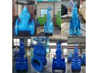BS5163 Resilient Seated Gate Valve