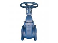 BS5163 Cast Iron Non-rising Stem Gate Valve   Gost Gate Valves Exporter   China DIN Gate Valve supplier   Cast Iron Gate