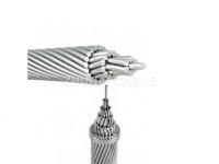 How to Distinguish Between ACSR and AAAC Cable?