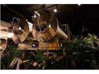 What is Yeast Fermentation?