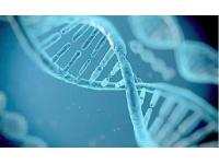 Why no relapse to treat ichthyosis with Zhangjian Therapy