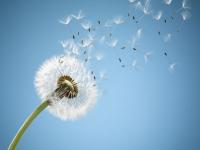 Ichthyosis skin Daily care