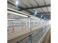 Broiler Chicken Cage