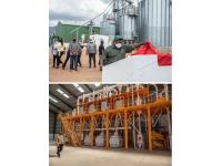 Kenya 36T Maize Milling Machine Shipped Today