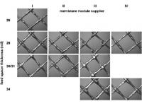 RO Membrane Became More and More Popular